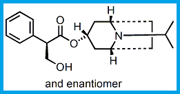 IPRATROPIUM EP IMPURITY E